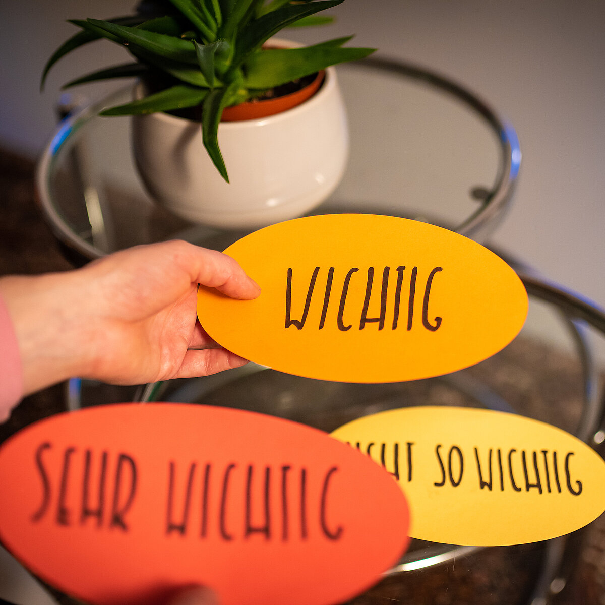 Priorisierungsübung mit Karten: 'wichtig', 'sehr wichtig', 'nicht so wichtig'